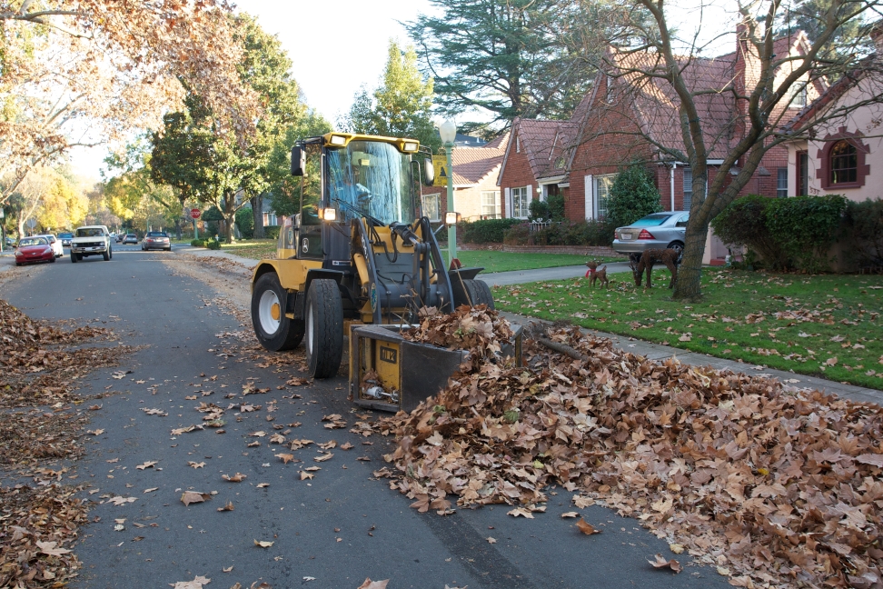 City’s leaf-pile pickup returns to normal 14-day schedule