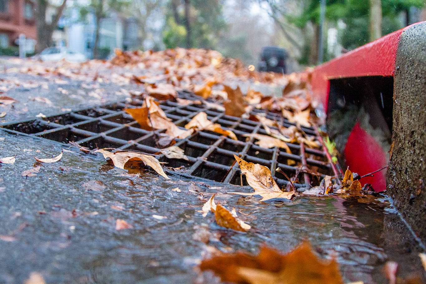 storm drain