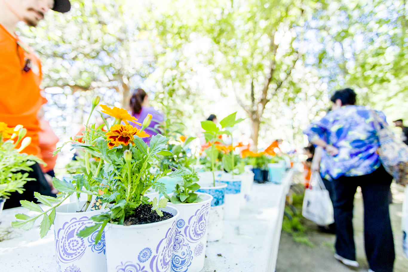 Earth Day, Sacramento