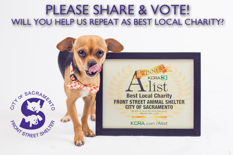 Cast your vote for Front Street Animal Shelter on KCRA’s A-List!