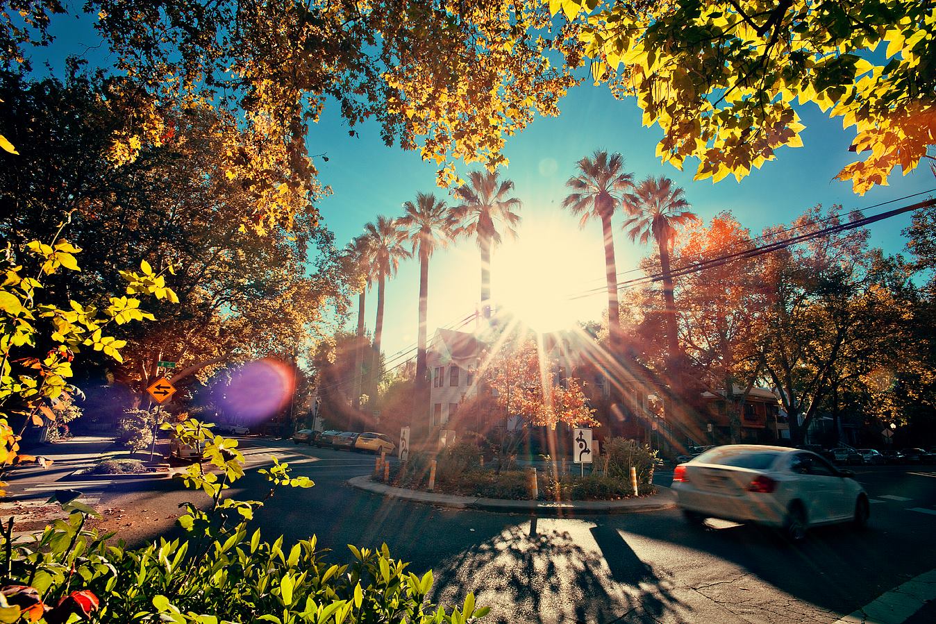 Annual City Leaf Season collection begins October 31, 2016