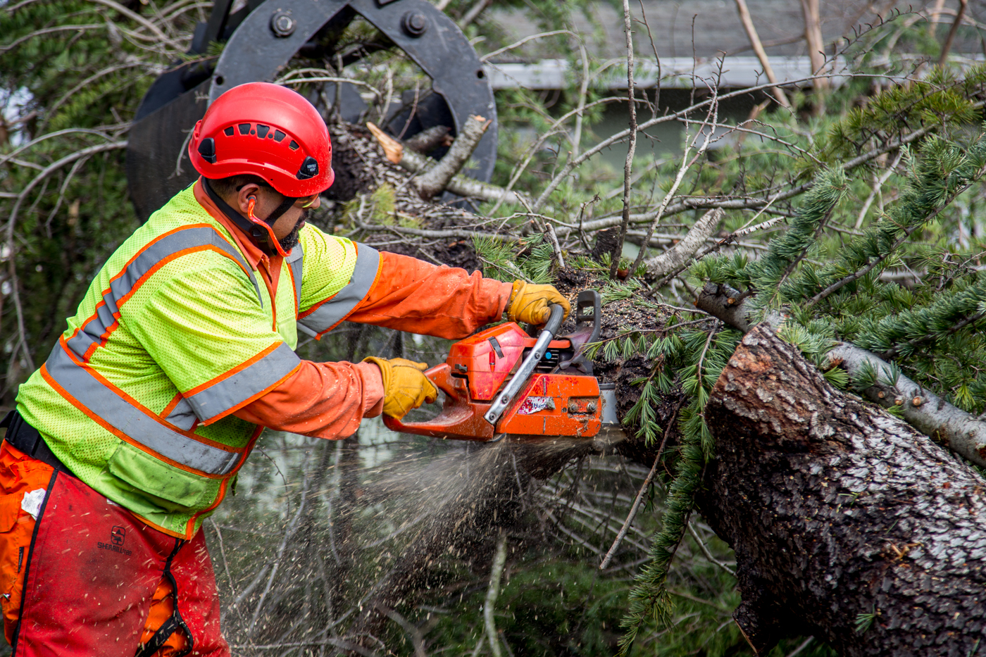 City responds to calls for service as massive windstorm whips through Sacramento