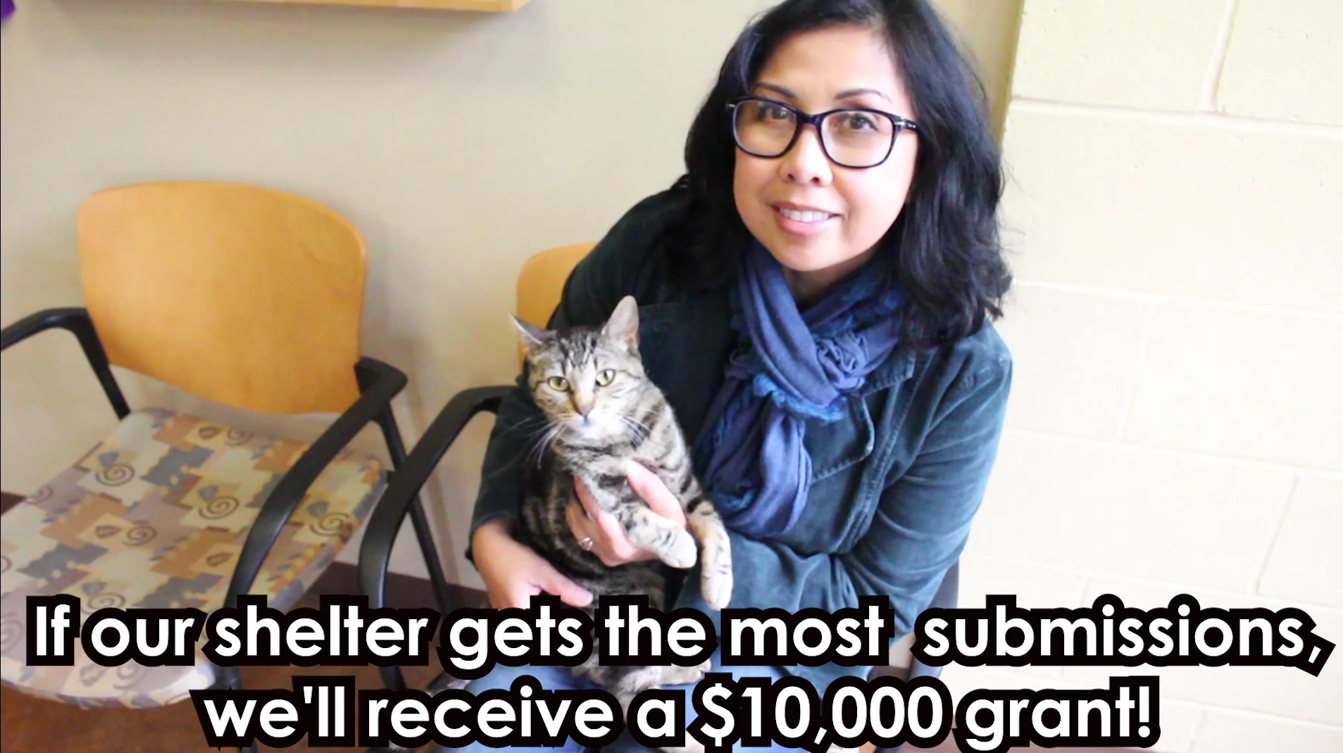 Front St. Animal Shelter wants photos of you and your adopted pets