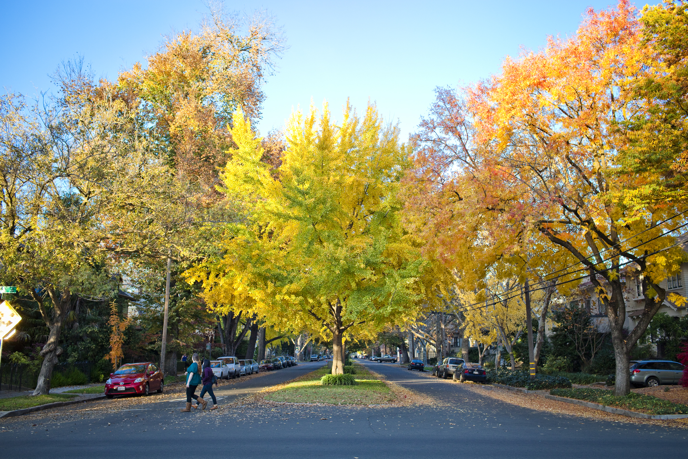 Survey says: Quality of life in Sacramento receives high marks