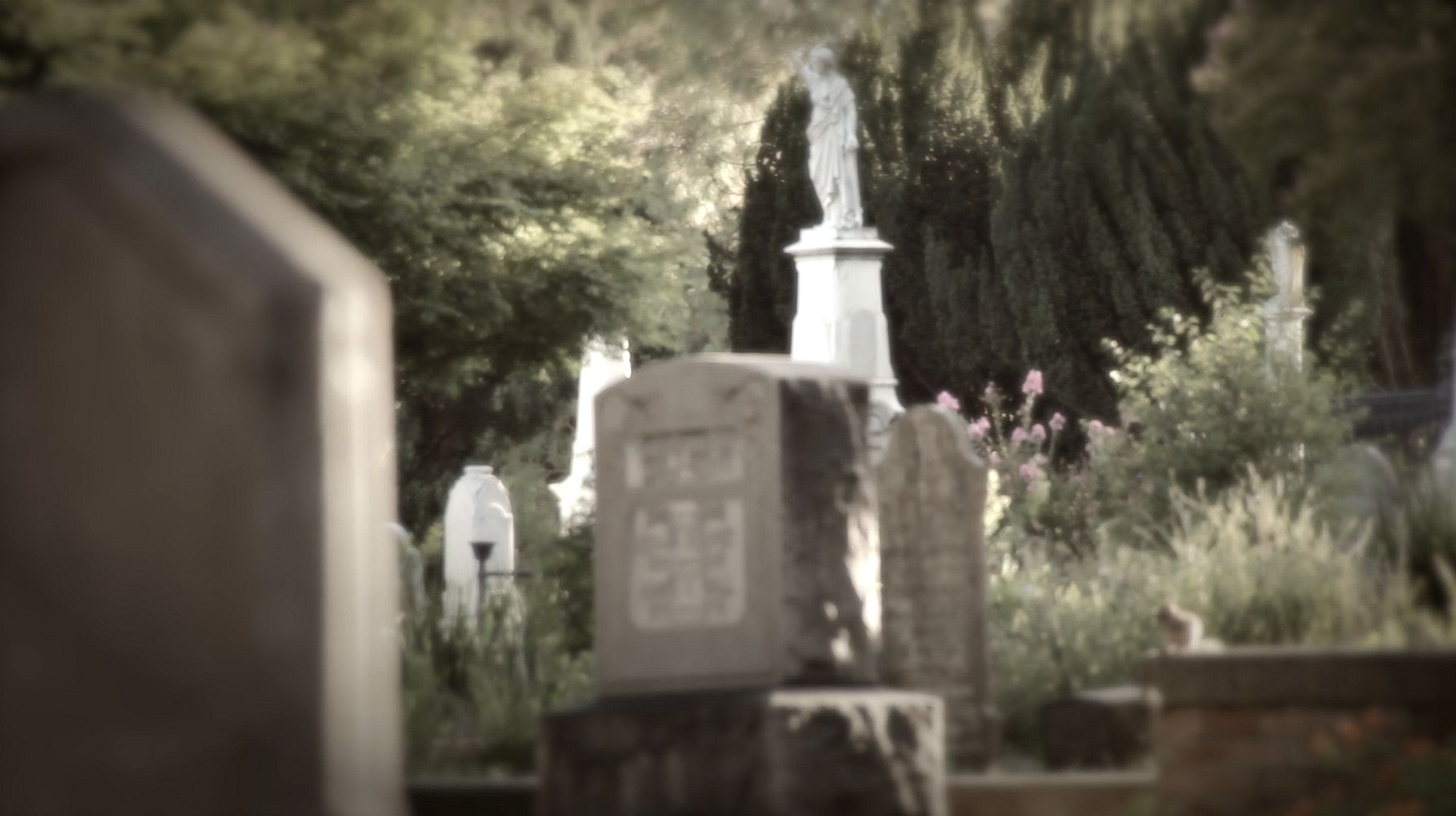 Step into Sacramento’s wild past with digital tours for Historic City Cemetery, Old Sacramento