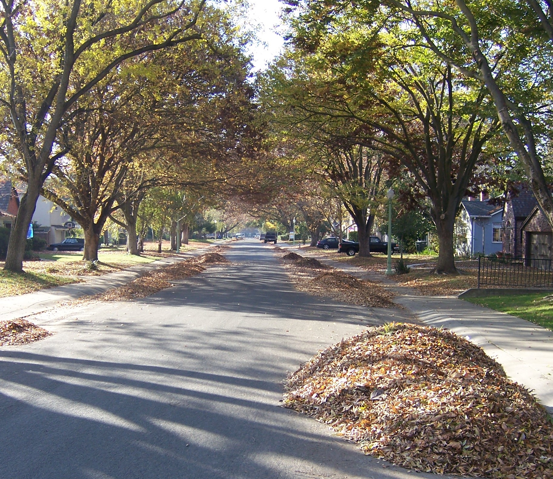 Leaf season pickup has been extended until early February