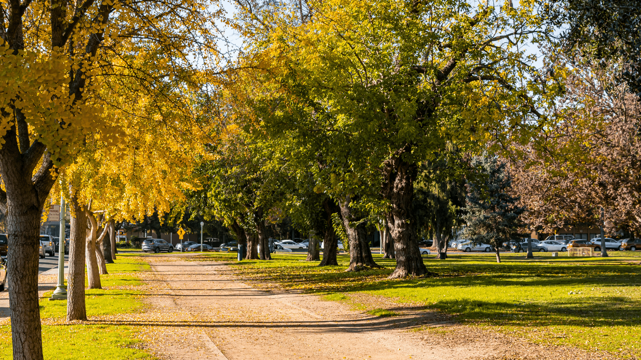 Volunteers needed to celebrate 916 Day across City parks