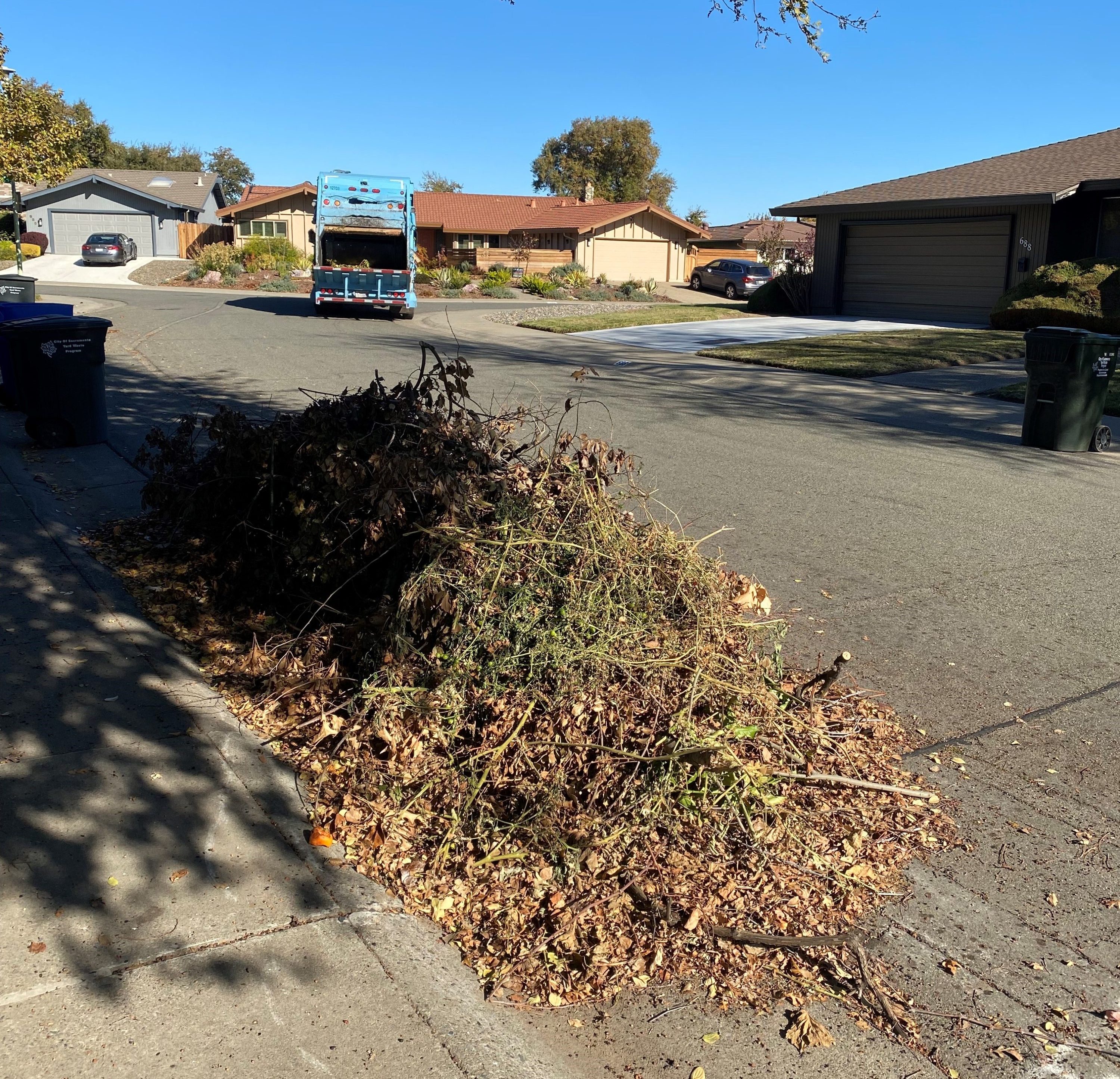 Leaf season in Sacramento is coming to an end. Here’s when you need to put out your last pile