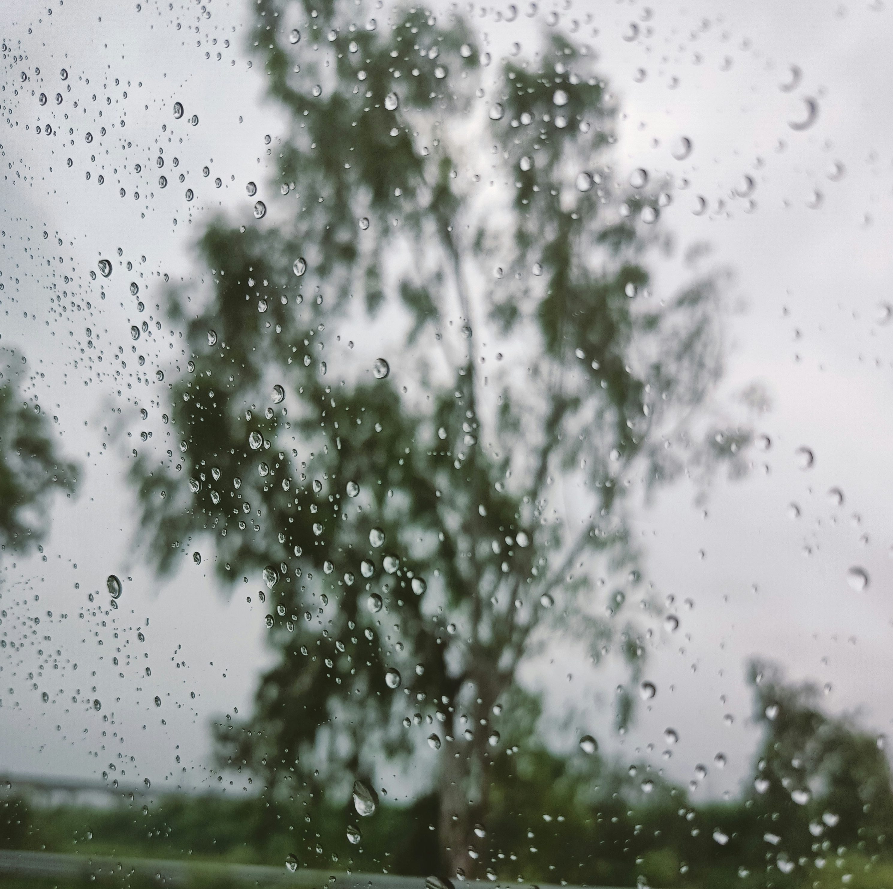 City activates weather-respite centers Feb. 15-19