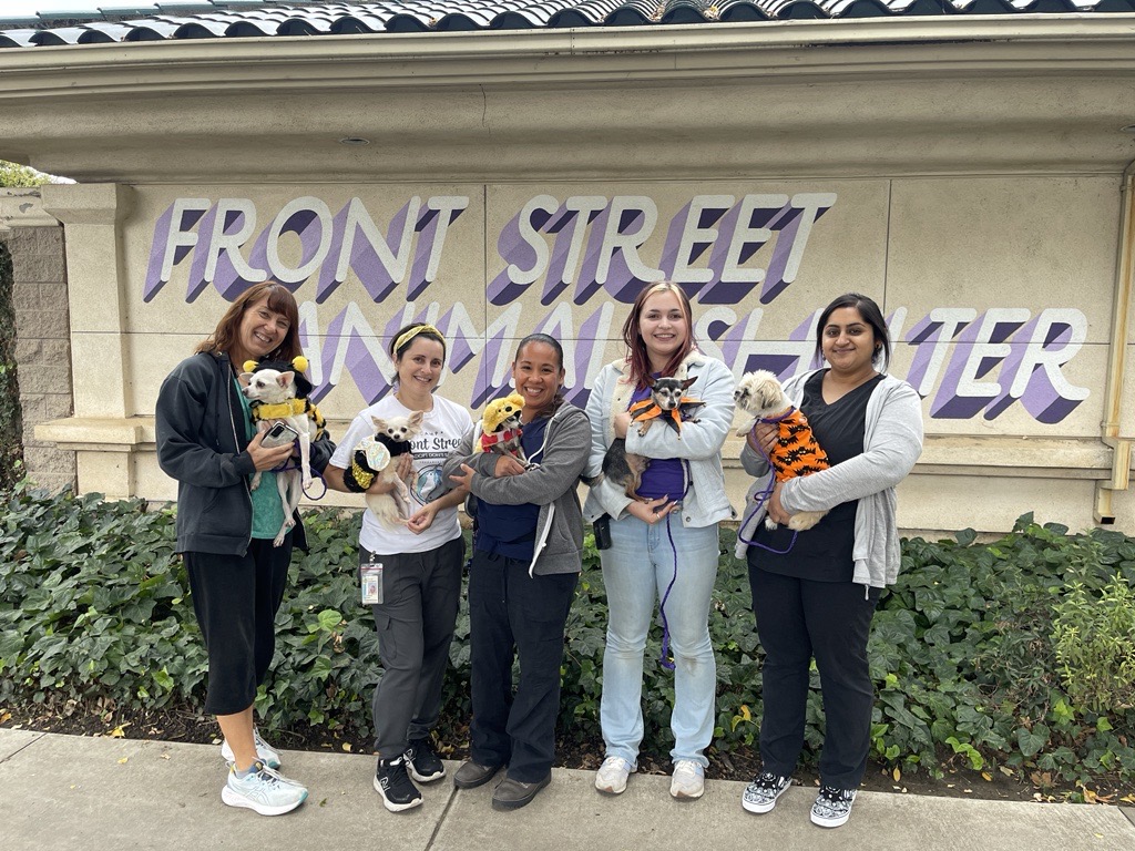 Four people standing in from of the Front Street Animal Shelter in Sacramento, each holding a small dog.