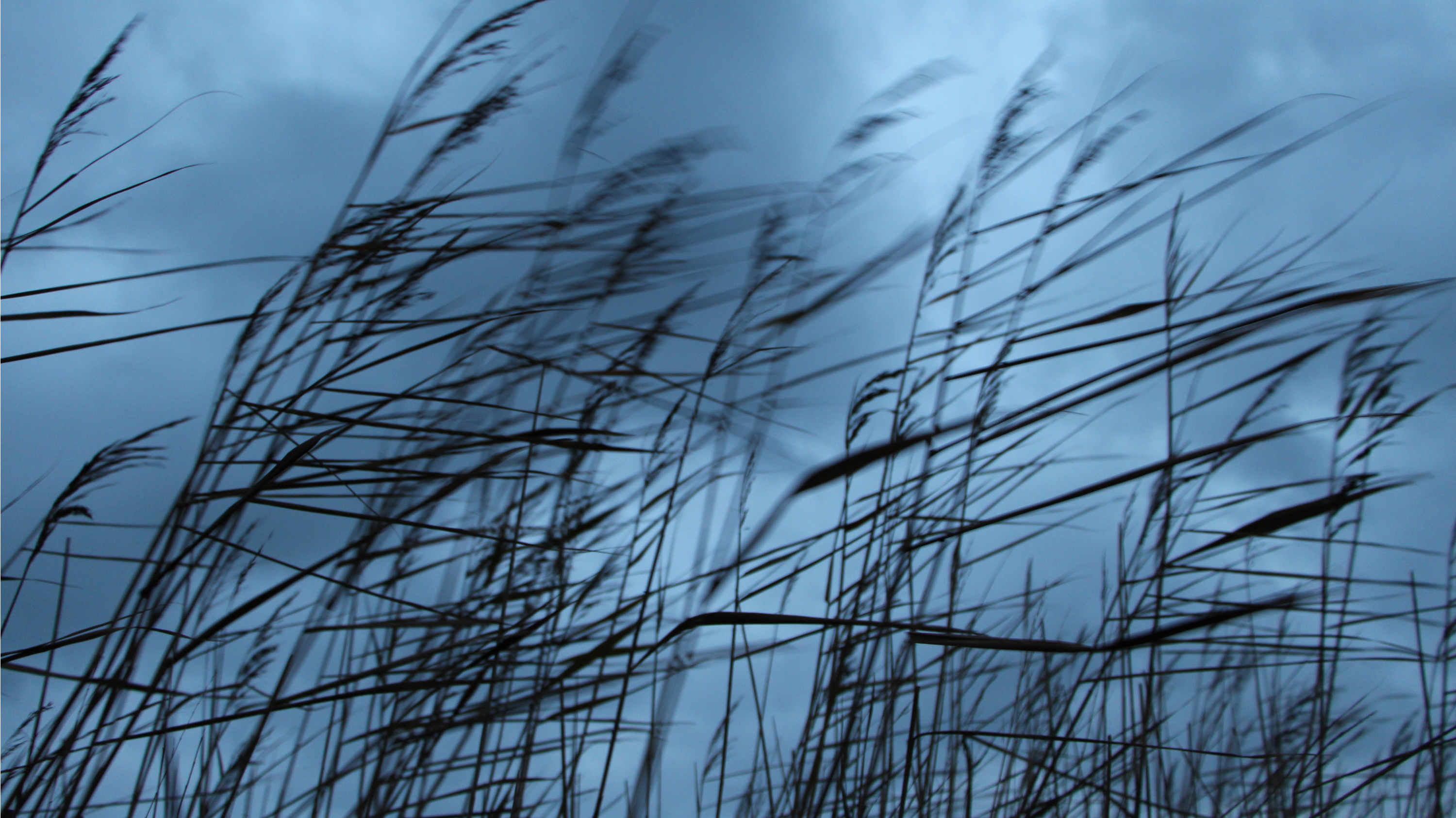 City activates weather-respite center Nov. 4-6