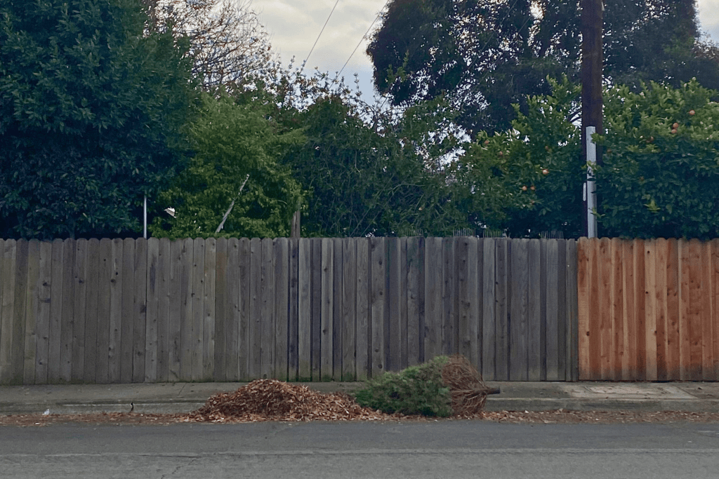 Here are free ways to get rid of your holiday tree