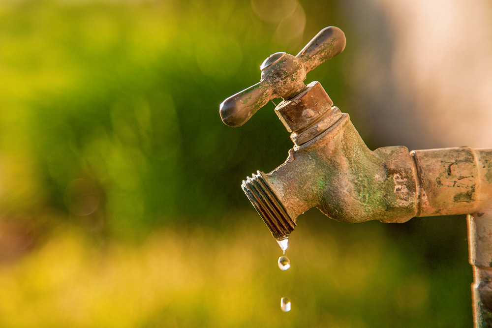 Catch surprise leaks early with the City’s free water-tracking website