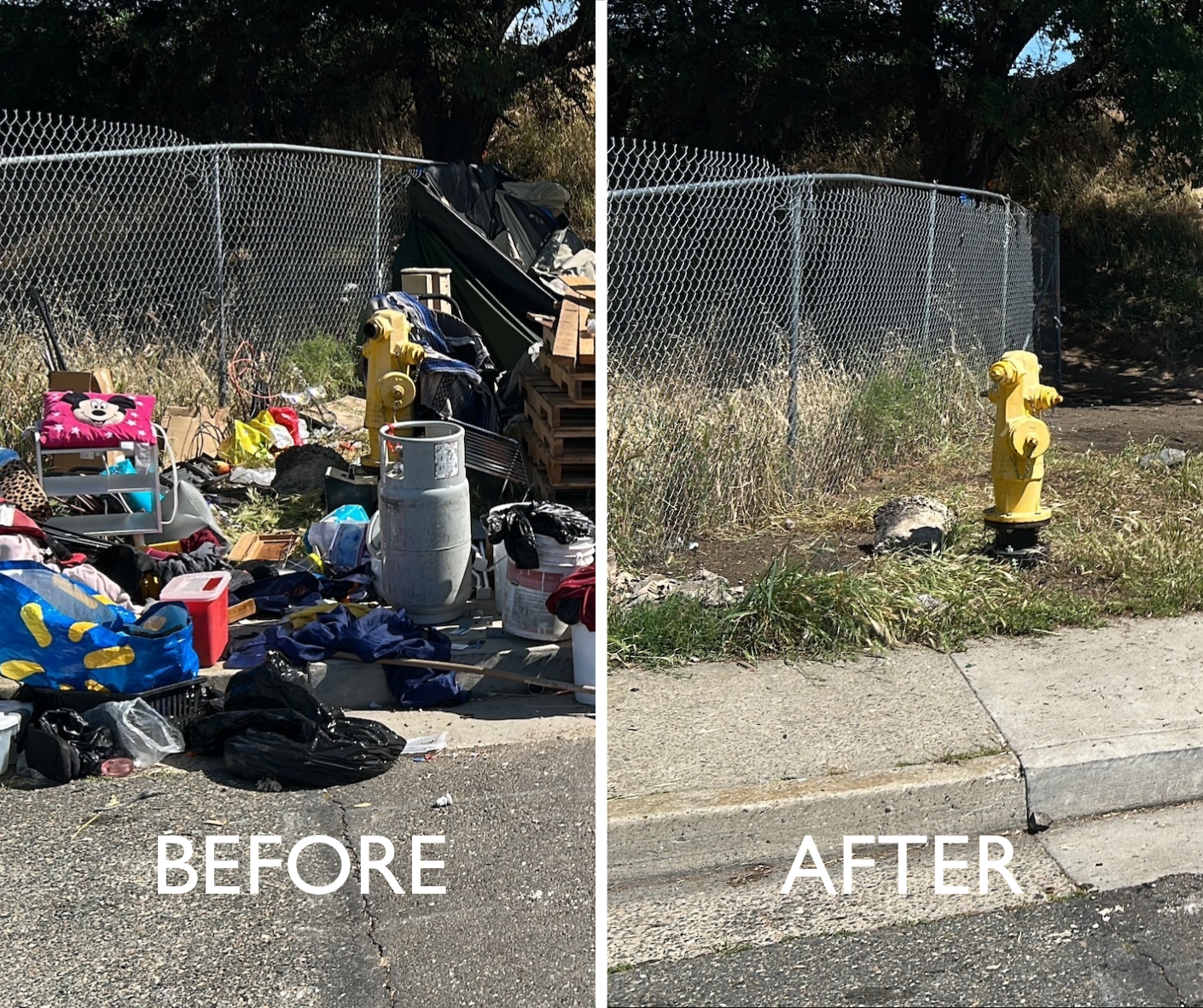 Homelessness Response Report: Extensive outreach and cleanup resolves large encampment in North Sacramento