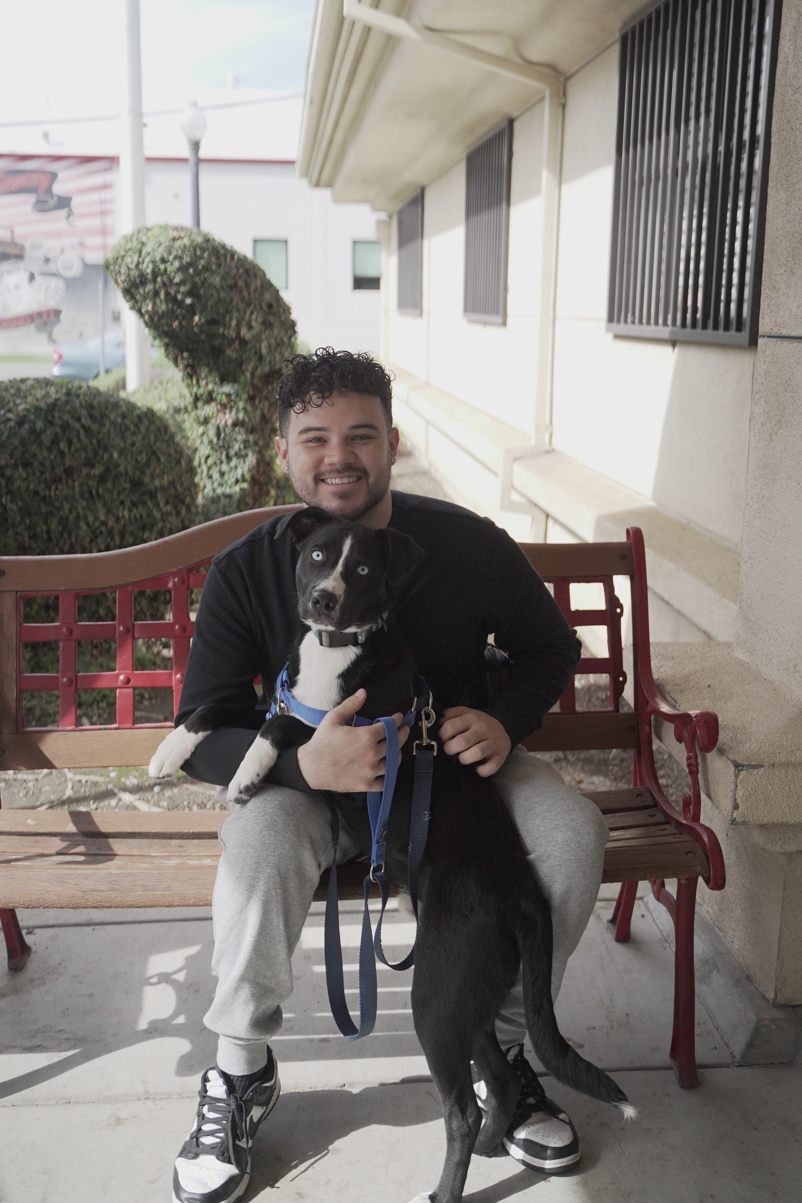 Front Street waives dog adoption fees through April 12