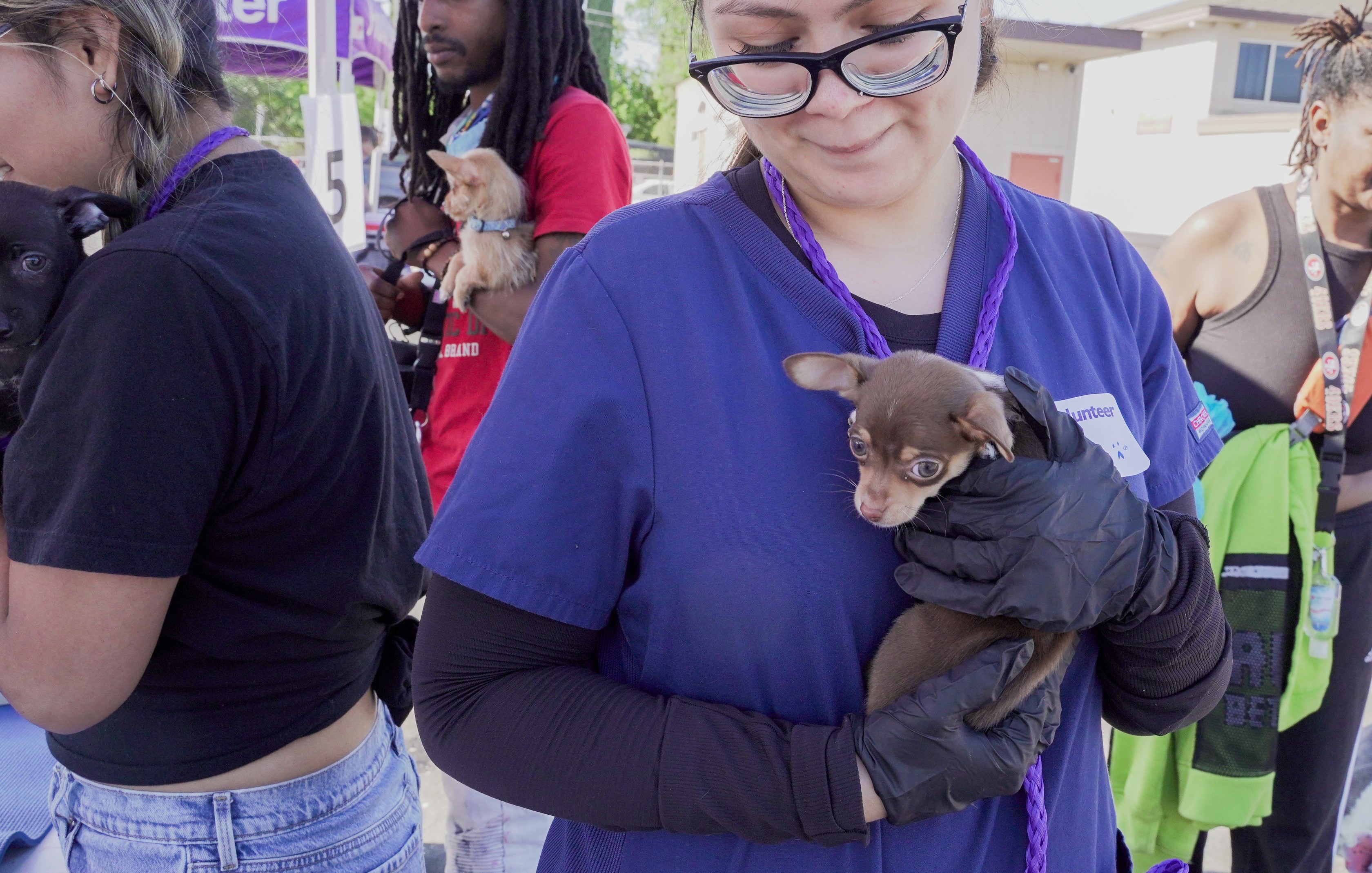 Front Street Animal Shelter provides free vaccines to more than 13,000 pets since 2022