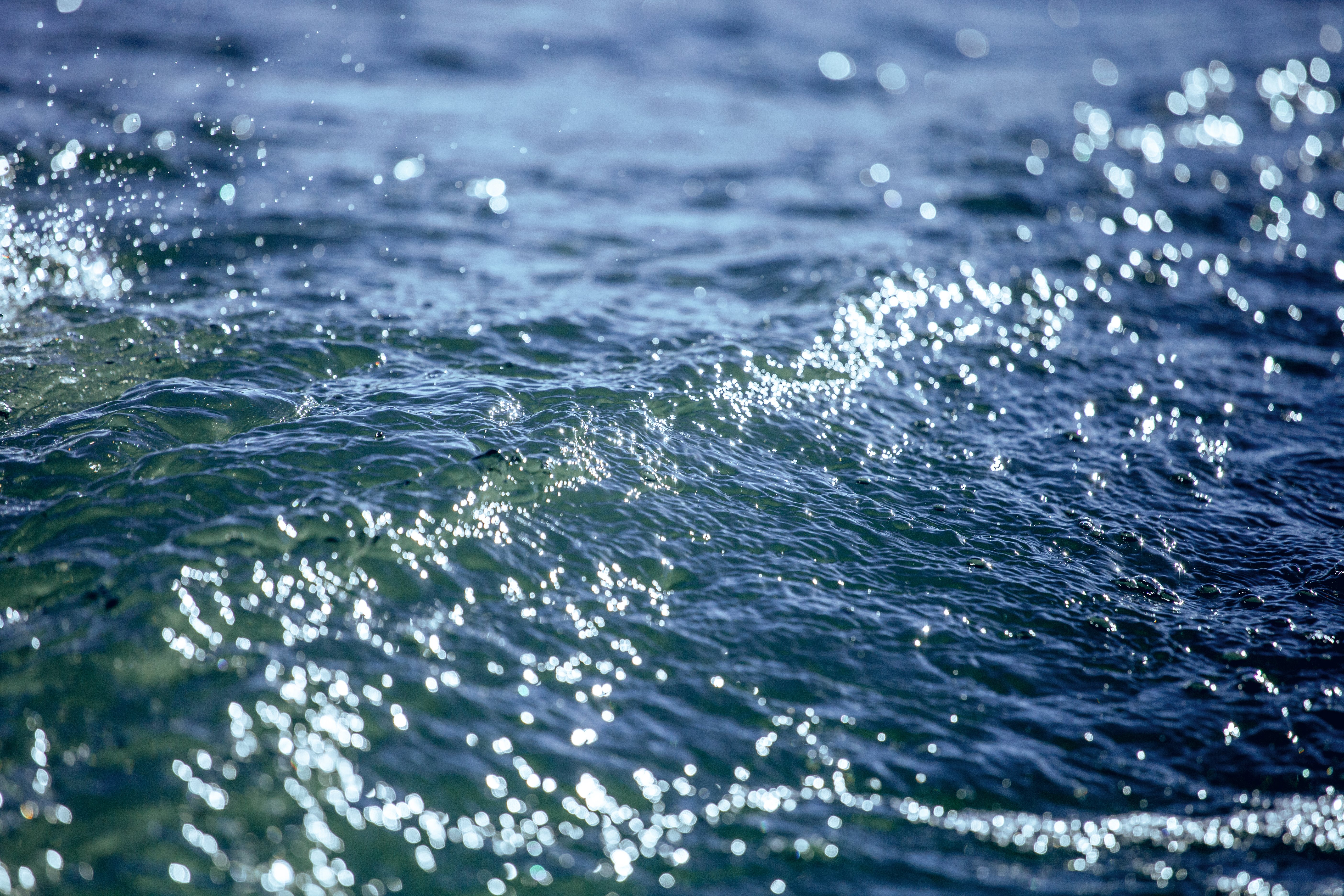 Have your say on proposed south Sacramento levee improvements