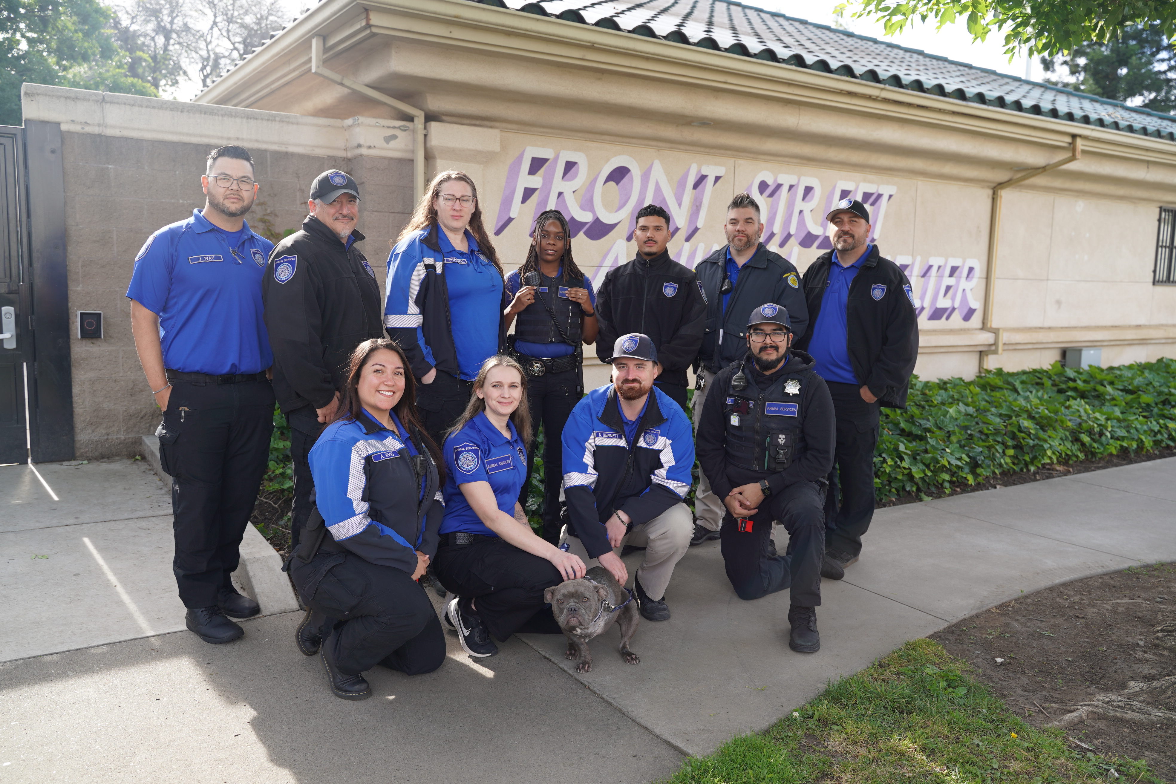 Front Street Animal Shelter reduces pending service requests by more than 90%