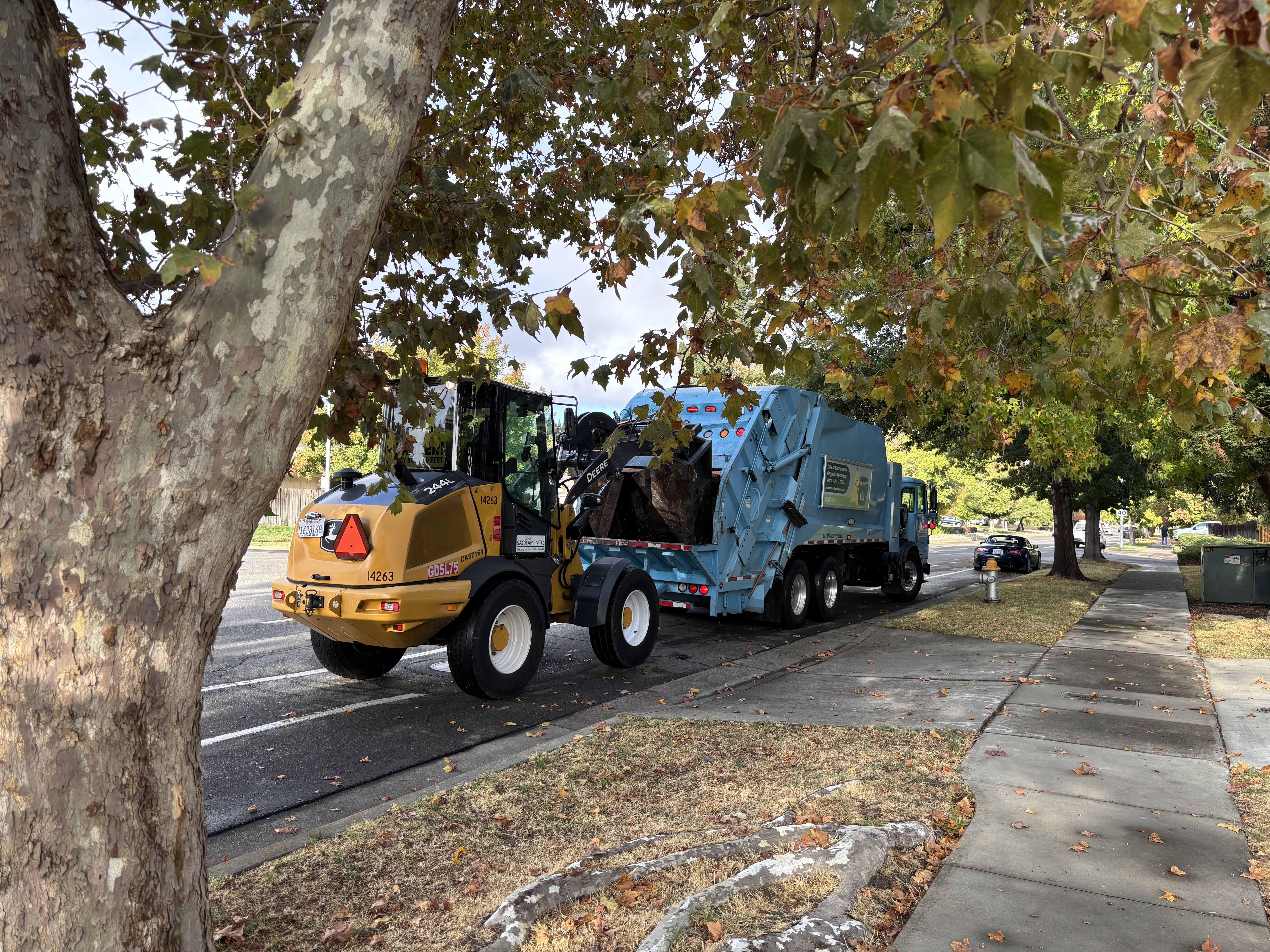 Leaf season is back: What Sacramento residents need to know about Claw collection